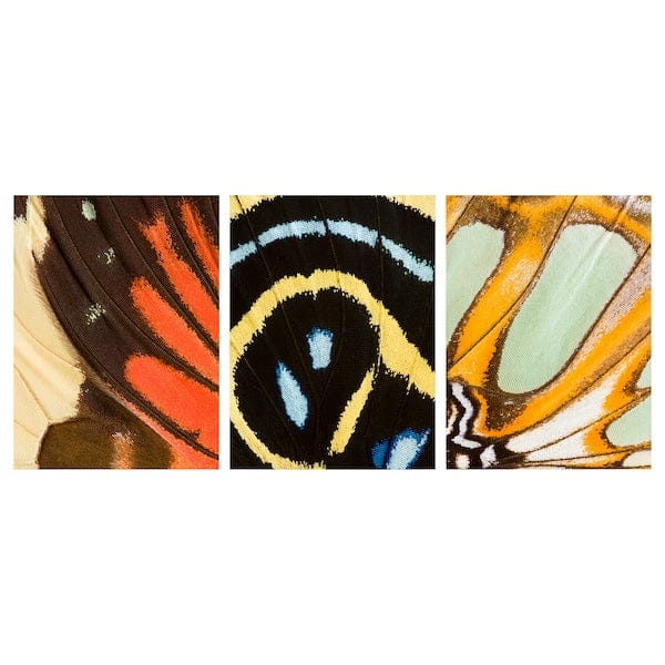 Ikea PJÄTTERYD - Picture, butterfly wings, 30x40 cm