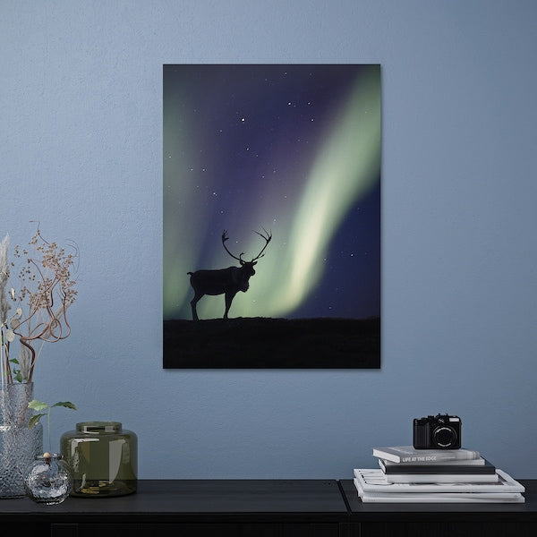 PJÄTTERYD - Canvas, deer and aurora borealis,50x70 cm