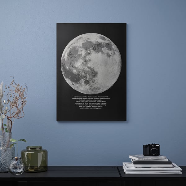 PJÄTTERYD picture, moonlight, 50x70 cm
