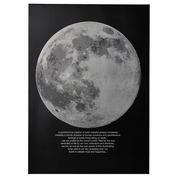 PJÄTTERYD picture, moonlight, 50x70 cm