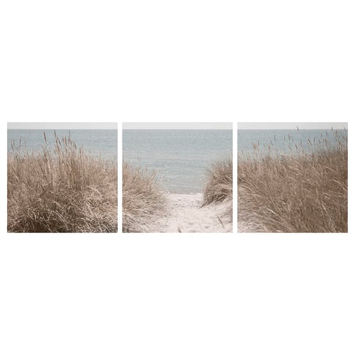 PJÄTTERYD picture, Swedish sand dunes, 56x56 cm, 3 pack