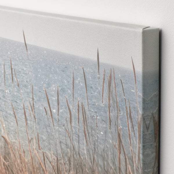 PJÄTTERYD picture, Swedish sand dunes, 56x56 cm, 3 pack