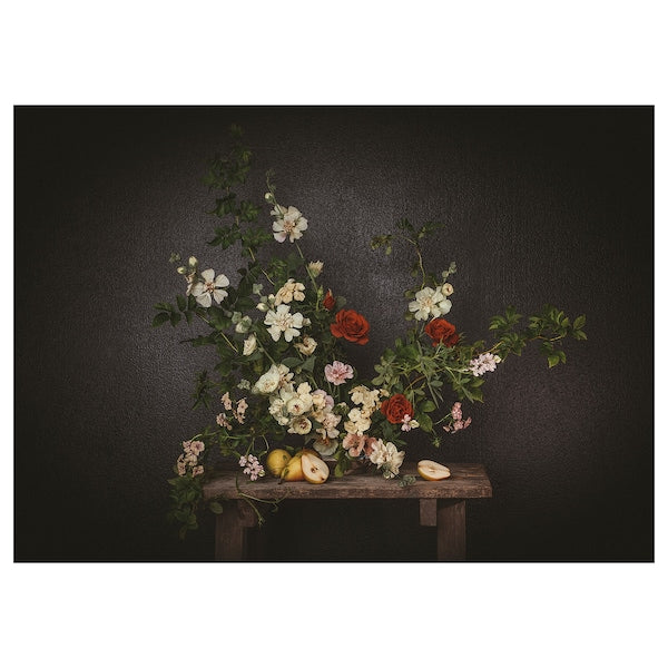 PJÄTTERYD - Picture, flowers-against a black wall, 70x50 cm