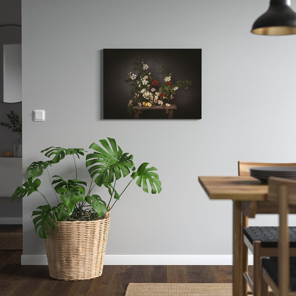 PJÄTTERYD picture, flowers-against a black wall, 70x50 cm