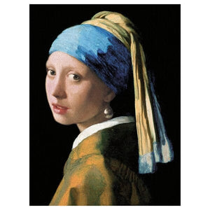 Ikea PJÄTTERYD - Picture, girl with a pearl earring , 2, 30x40 cm