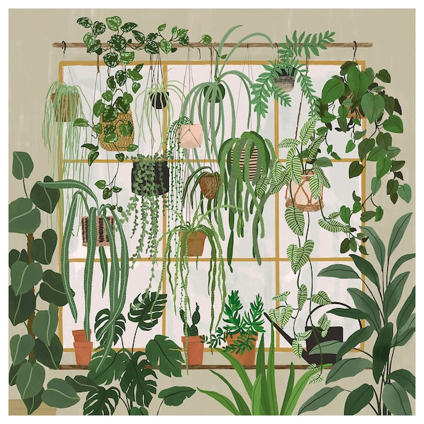 PJÄTTERYD - Picture, garden shop window, 56x56 cm