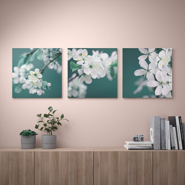 PJÄTTERYD - Picture, set of 3, cherry blossom/white, 56x56 cm