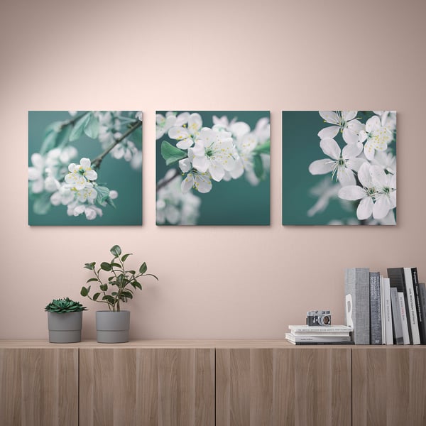 PJÄTTERYD - PJÄTTERYD Picture, set of 3, cherry blossom/white, 56x56 cm