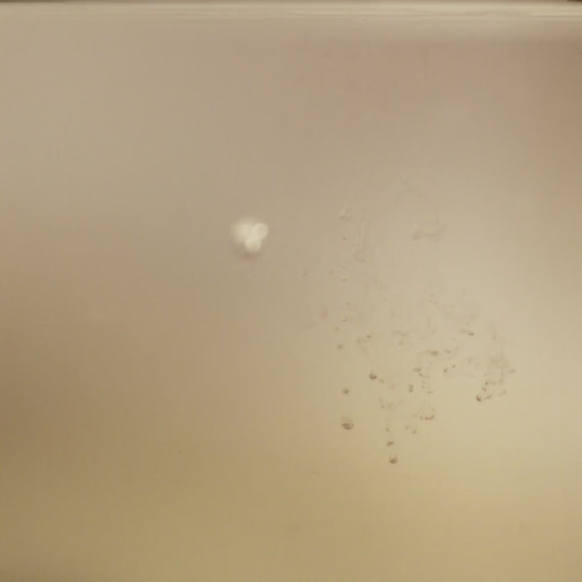 Video for IKEA product 40608440