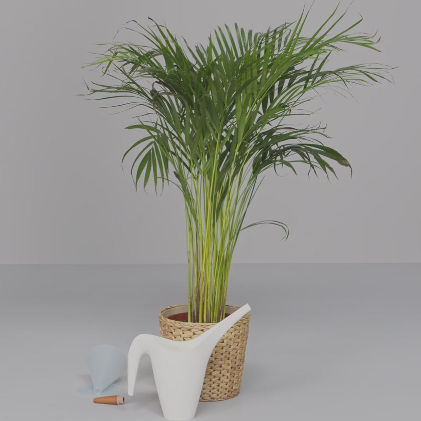 Video for IKEA product 40570871