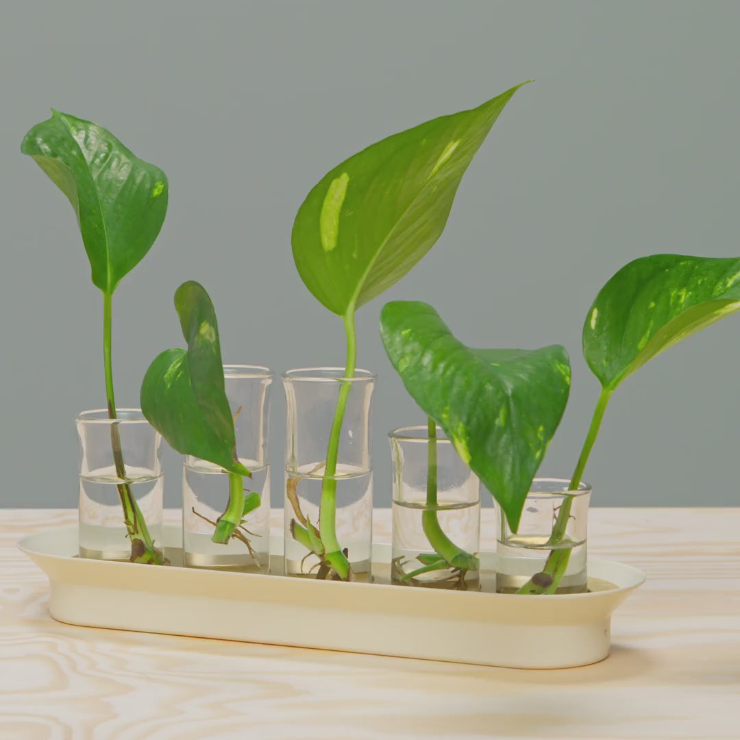 Video for IKEA product 90561987