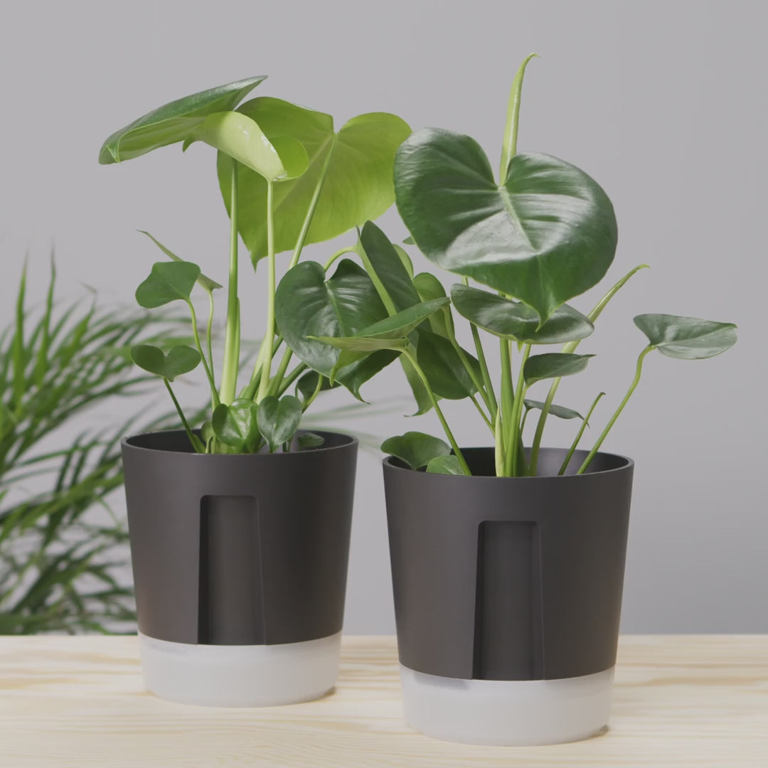 Video for IKEA product 40570866