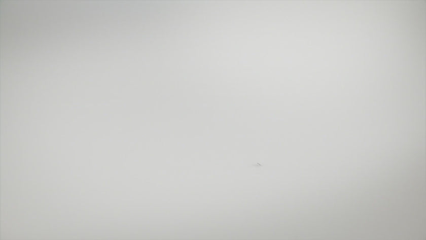 Video for 29434130