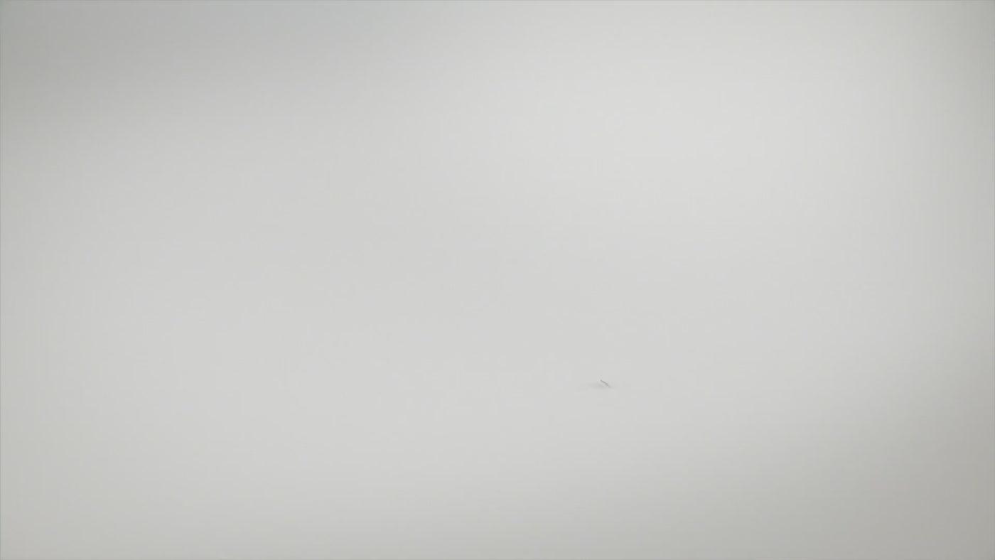 Video for 39429581