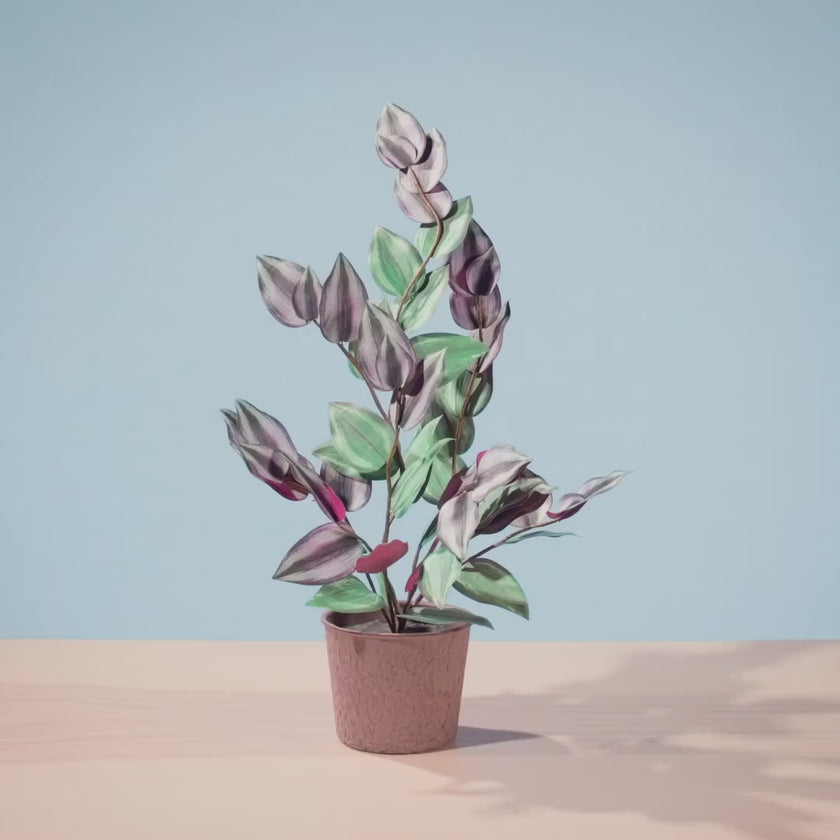 Video for IKEA product 00630725