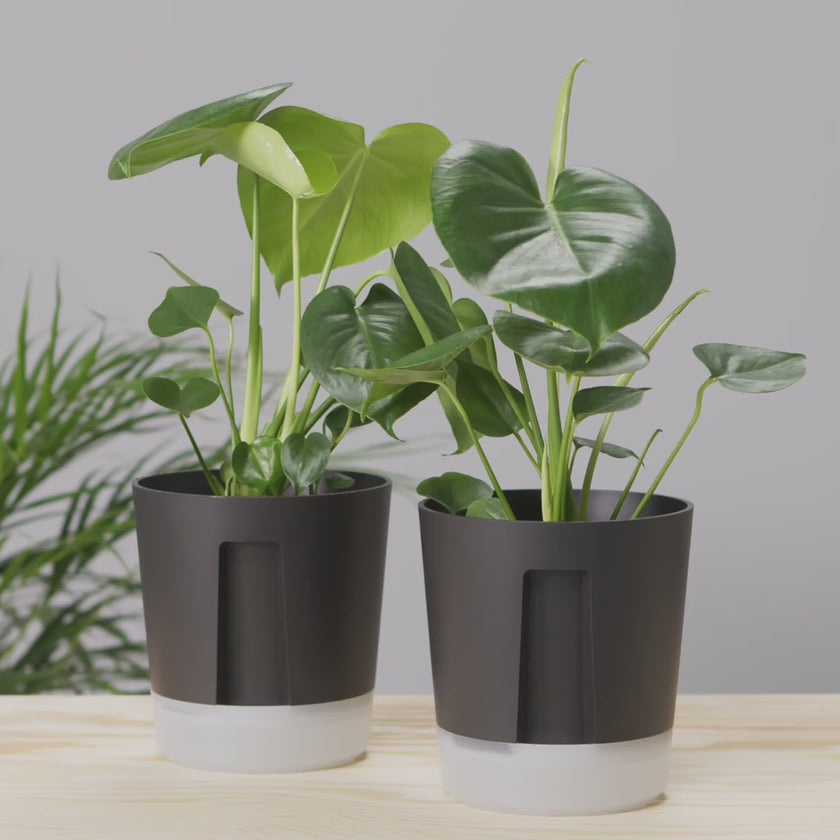 Video for IKEA product 90570859