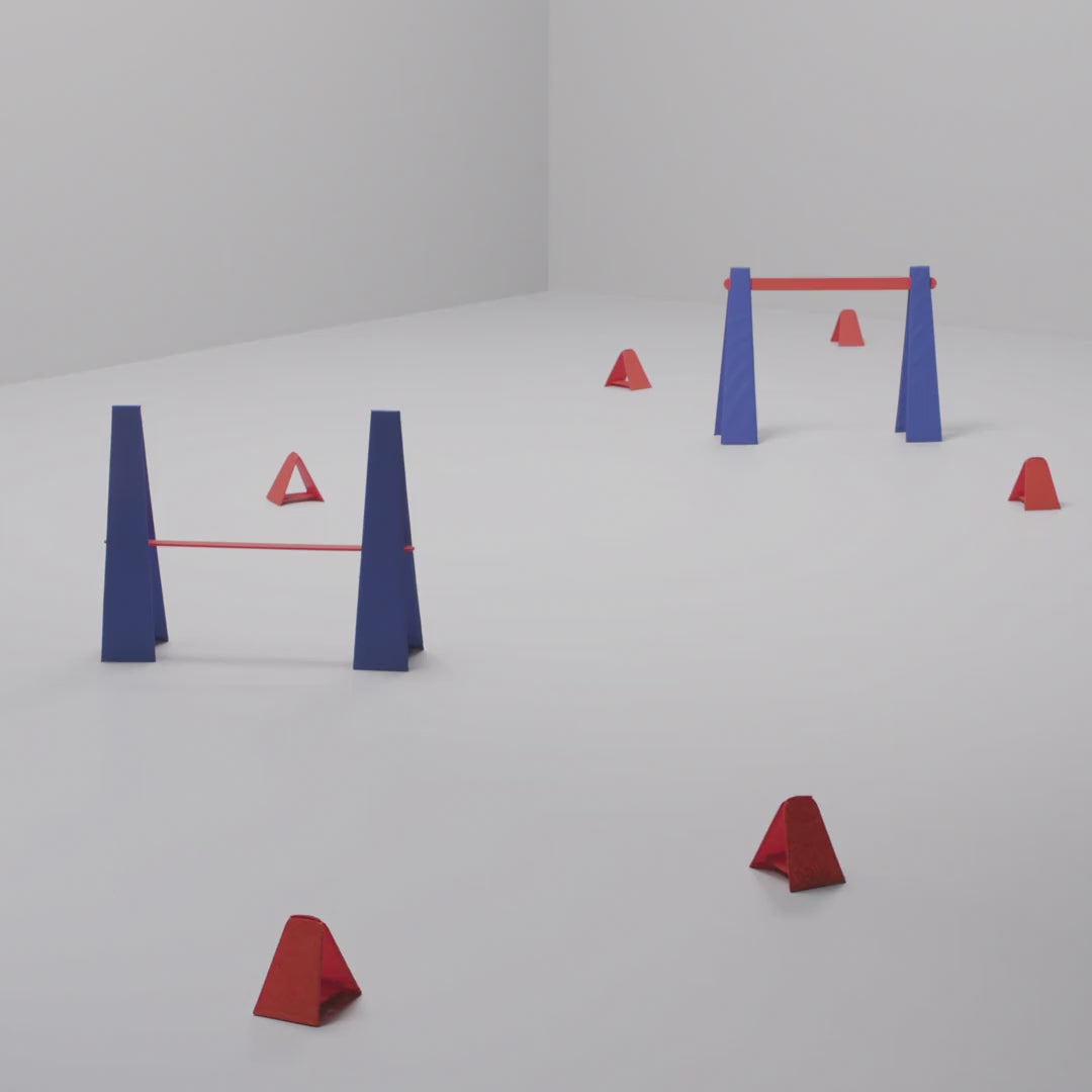Video for 00550417