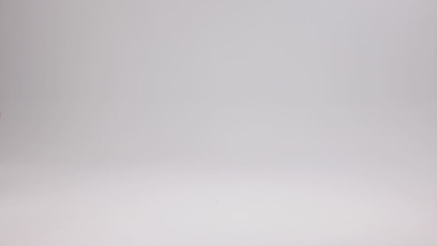 Video for 10565418