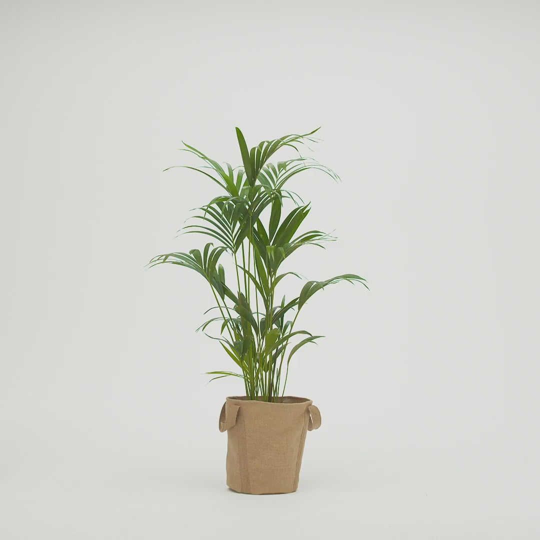 Video for IKEA product 90628822