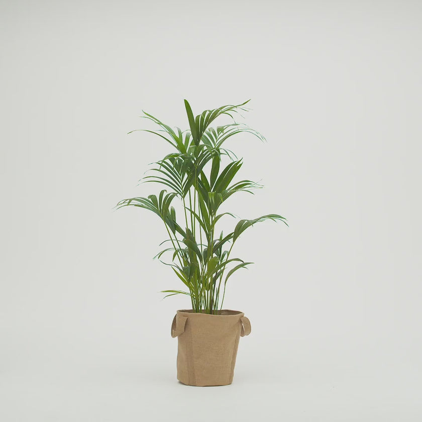 Video for IKEA product 90628822