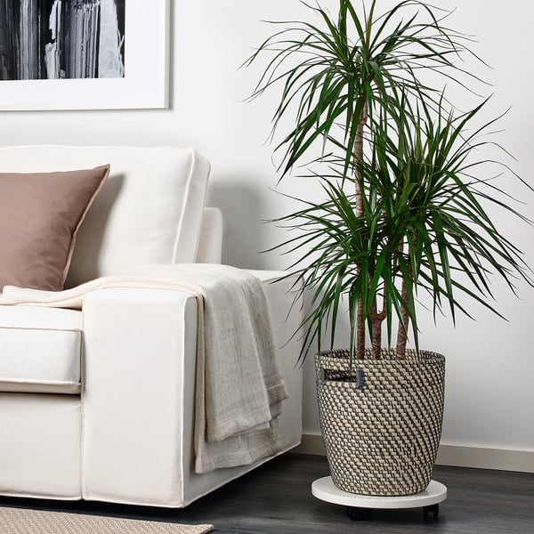 RÅGKORN plant pot, in/outdoor dark grey/beige, 24 cm