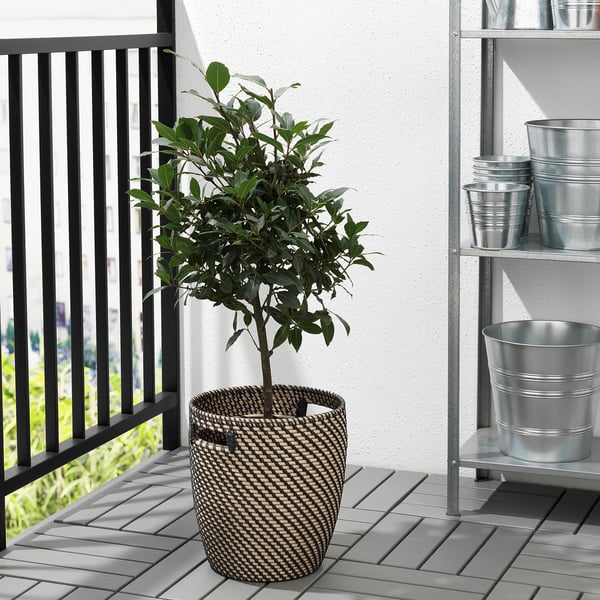 RÅGKORN plant pot, in/outdoor dark grey/beige, 24 cm
