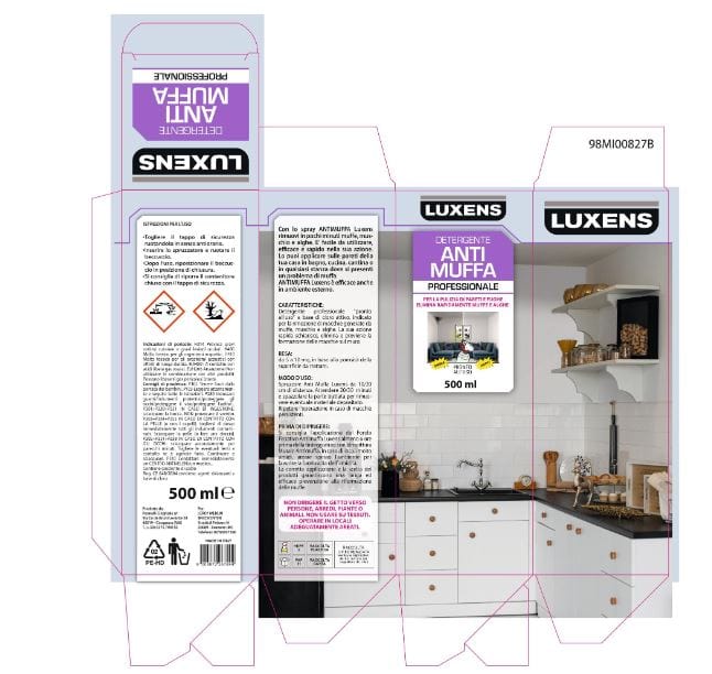 Bricocenter PROFESSIONAL ANTI-MOULD CLEANER 500ML LUXENS