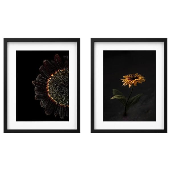 Ikea RÖDALM - Frame with poster, sunflowers, 40x50 cm