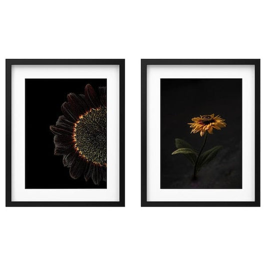 Ikea RÖDALM - Frame with poster, sunflowers, 40x50 cm