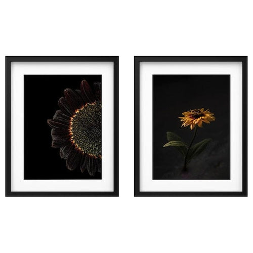 RÖDALM frame with poster, sunflowers, 40x50 cm, 2 pack