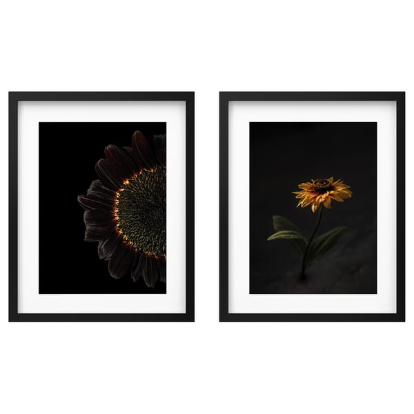 RÖDALM - RÖDALM Frame with poster, sunflowers, 40x50 cm