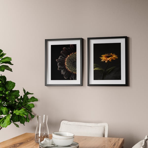 RÖDALM - RÖDALM Frame with poster, sunflowers, 40x50 cm