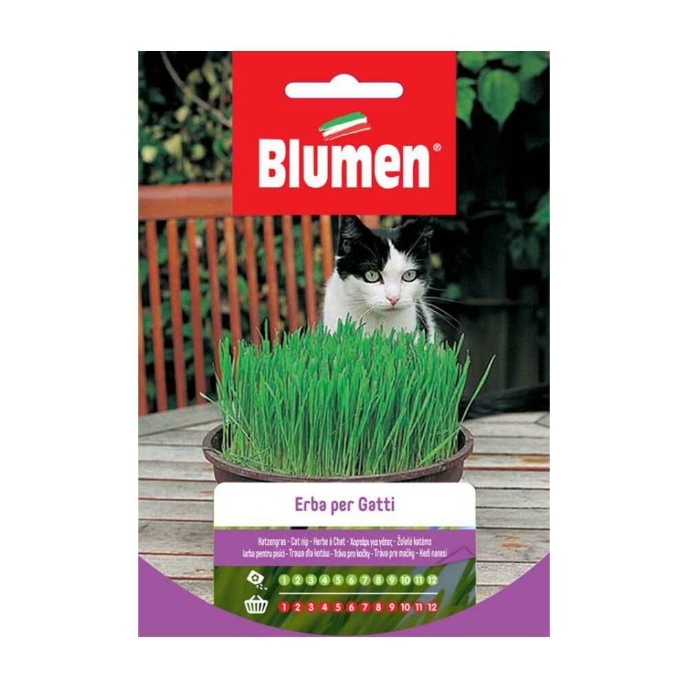 HERB FOR CATS