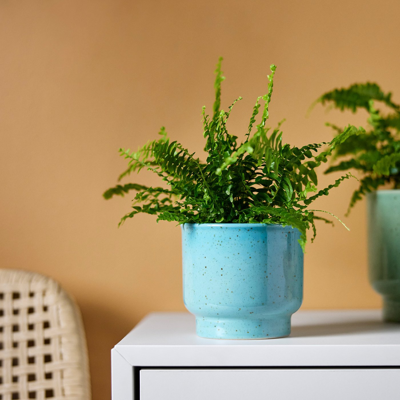 SAMMETSSYREN plant pot, in/outdoor/turquoise, 9 cm