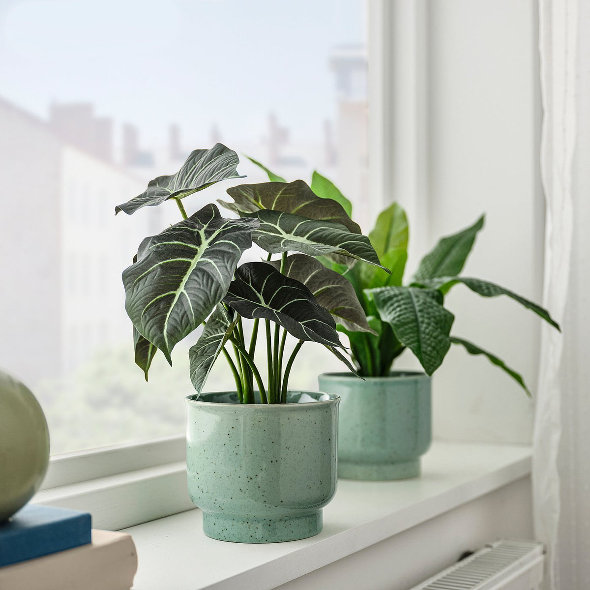 SAMMETSSYREN plant pot, in/outdoor/light green, 12 cm