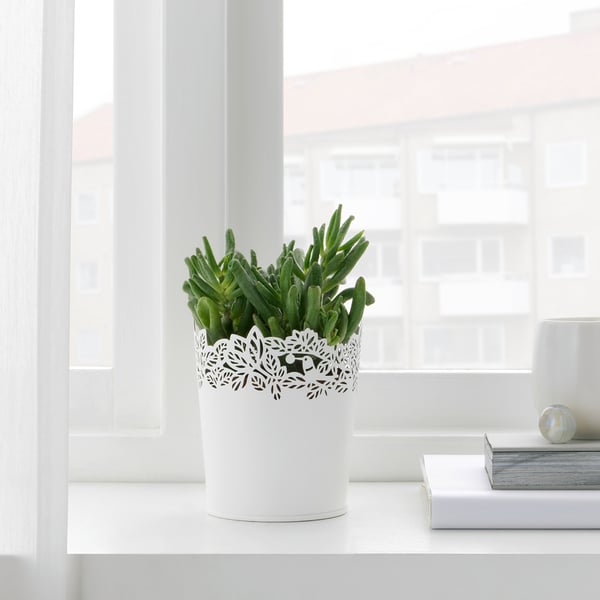 SAMVERKA - SAMVERKA Plant pot, white, 9 cm