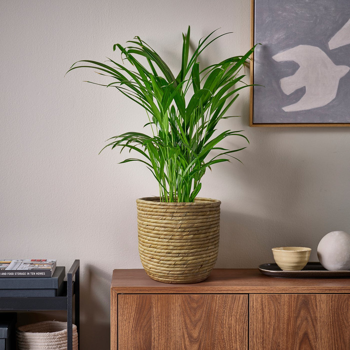SANDÖDLA plant pot, water hyacinth, 19 cm