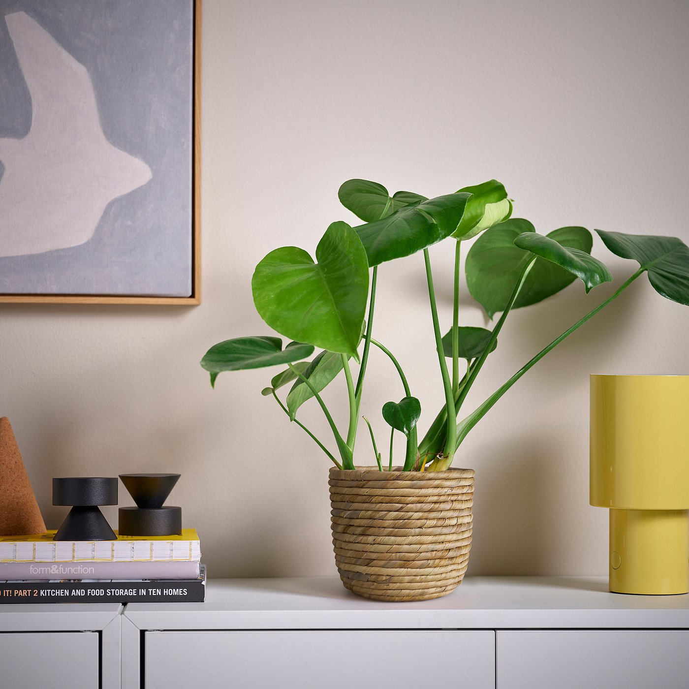 SANDÖDLA plant pot, water hyacinth, 15 cm