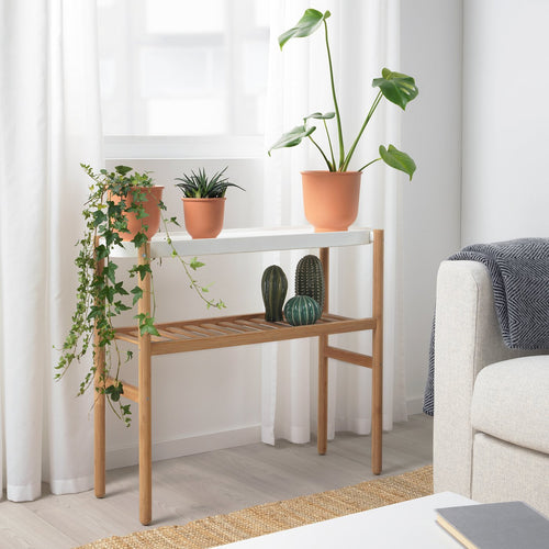 Plants & Pots