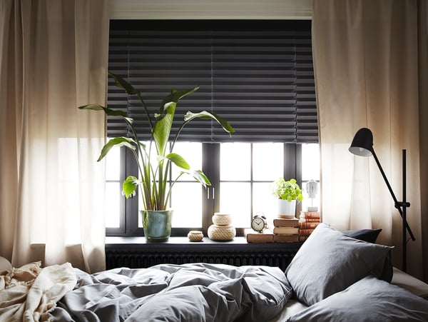 SCHOTTIS block-out pleated blind, dark grey, 100x190 cm