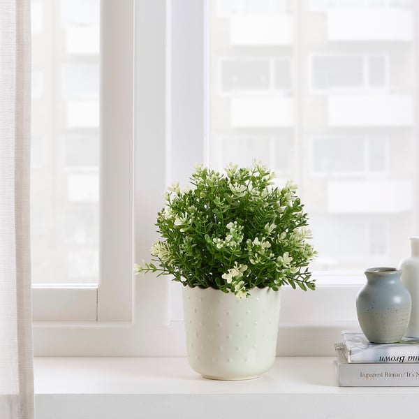 SESAMFRÖN - Plant pot, in/outdoor off-white, 9 cm