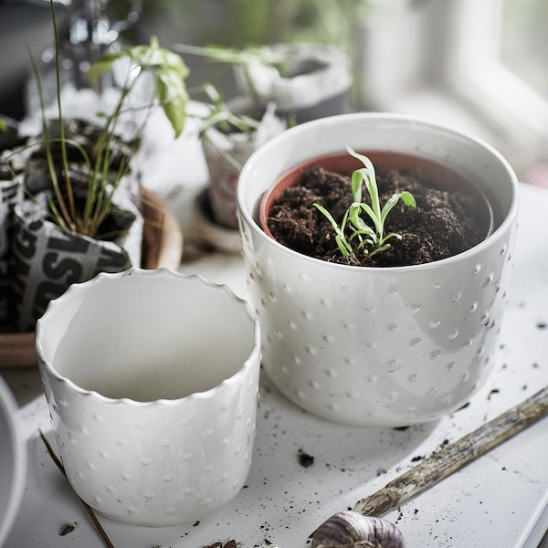 SESAMFRÖN - Plant pot, in/outdoor off-white, 12 cm