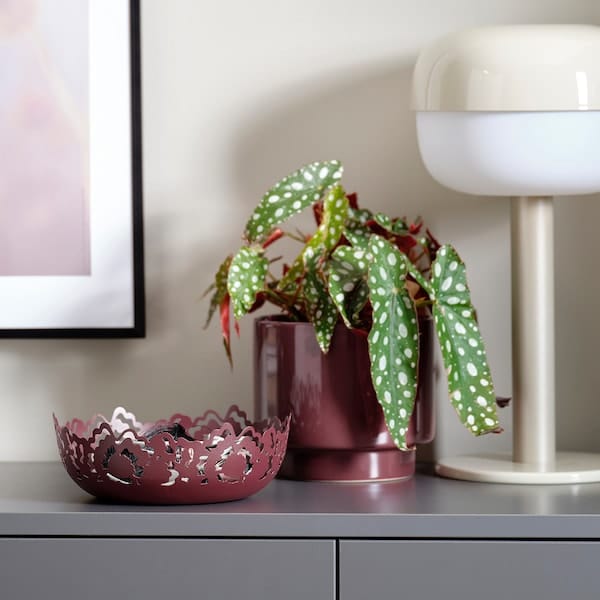 Ikea SILKESTRÄD - Decorative bowl, brown-red, 18 cm