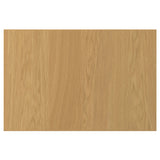 SINARP door, oak veneer, 60x40 cm