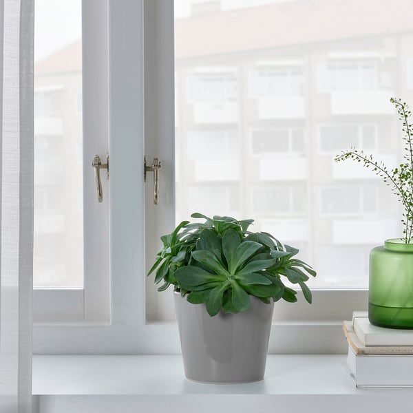 SKOGSVINBÄR - SKOGSVINBÄR Plant pot, in/outdoor grey, 9 cm
