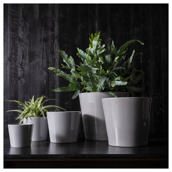 SKOGSVINBÄR plant pot, in/outdoor grey, 24 cm