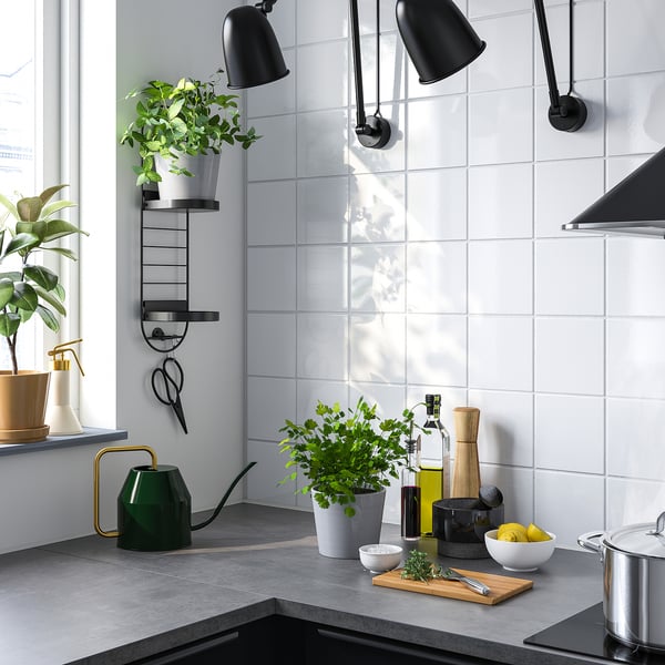 SKUGGRÖNA wall mounted plant stand, black, 54 cm