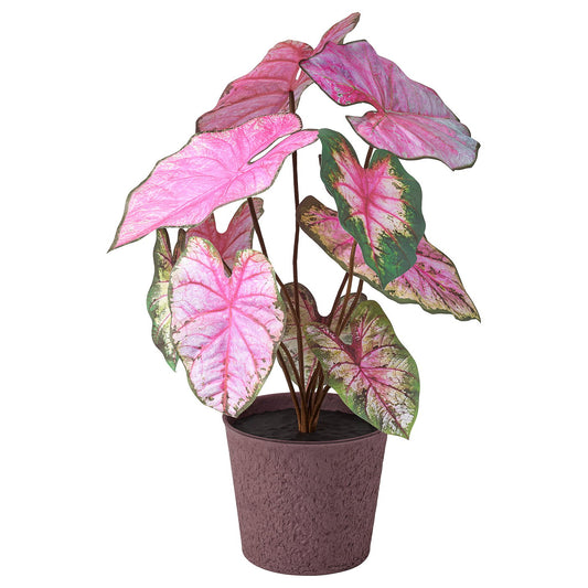 SMÅTÄRNA artificial potted plant, paper/caladium, 14 cm