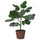 SMÅTÄRNA artificial potted plant, paper/Fig, 12 cm