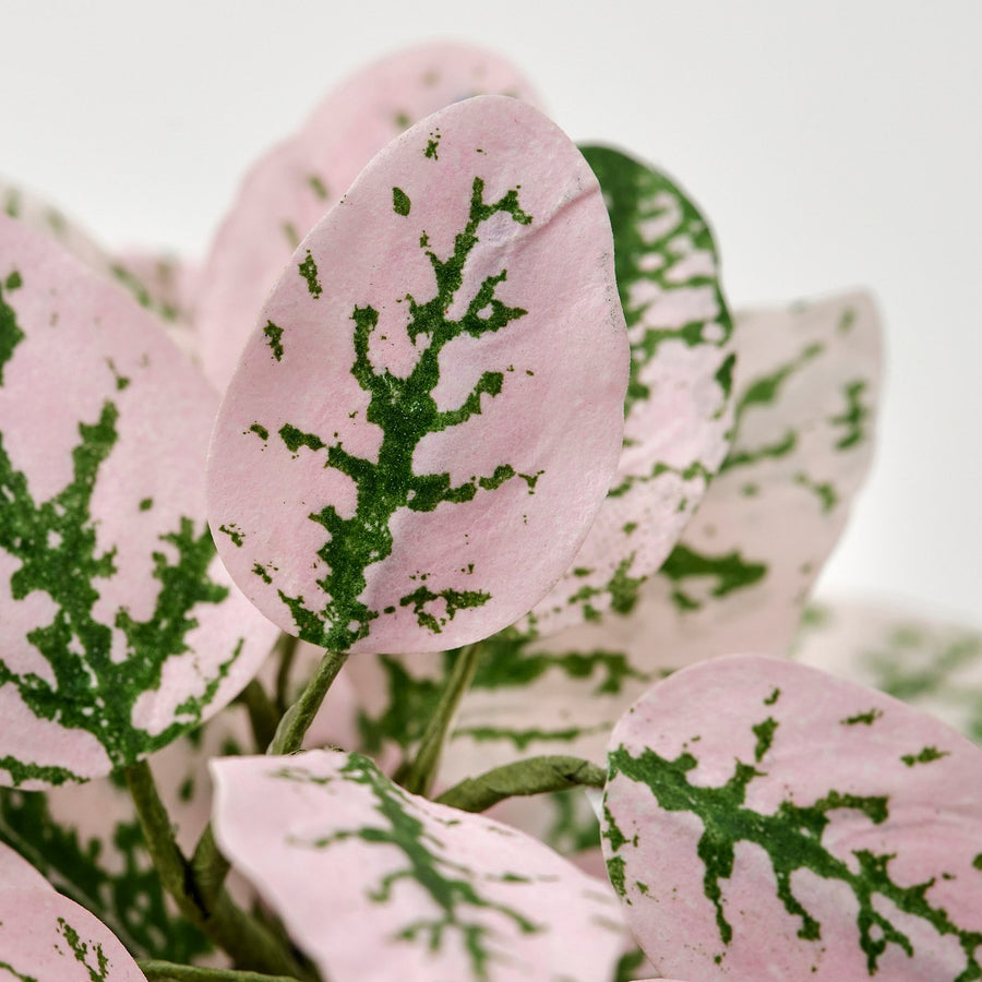 SMÅTÄRNA artificial potted plant, paper/mosaic plant, 6 cm